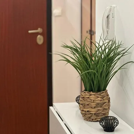 Apartment Cosy T2 Vue Climatise Wifi Et Equipe Refait A Neuf *