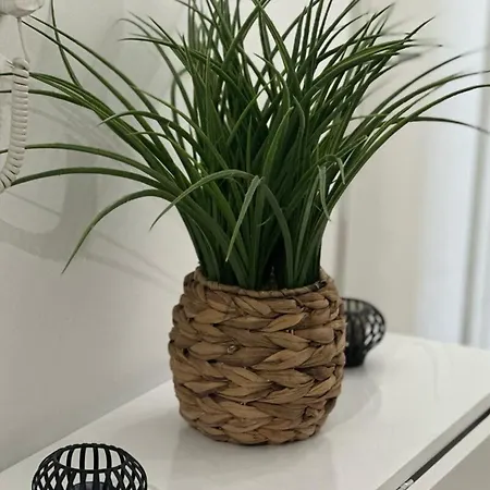 Cosy T2 Vue Climatise Wifi Et Equipe Refait A Neuf