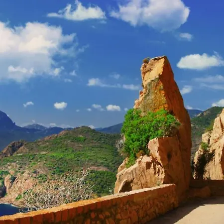 Apartment Cosy T2 Vue Climatise Wifi Et Equipe Refait A Neuf *