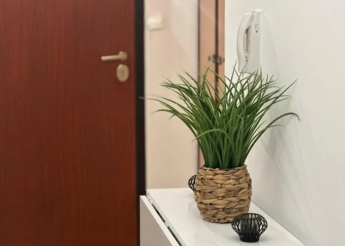 Апартаменты Cosy T2 Vue Climatise Wifi Et Equipe Refait A Neuf *